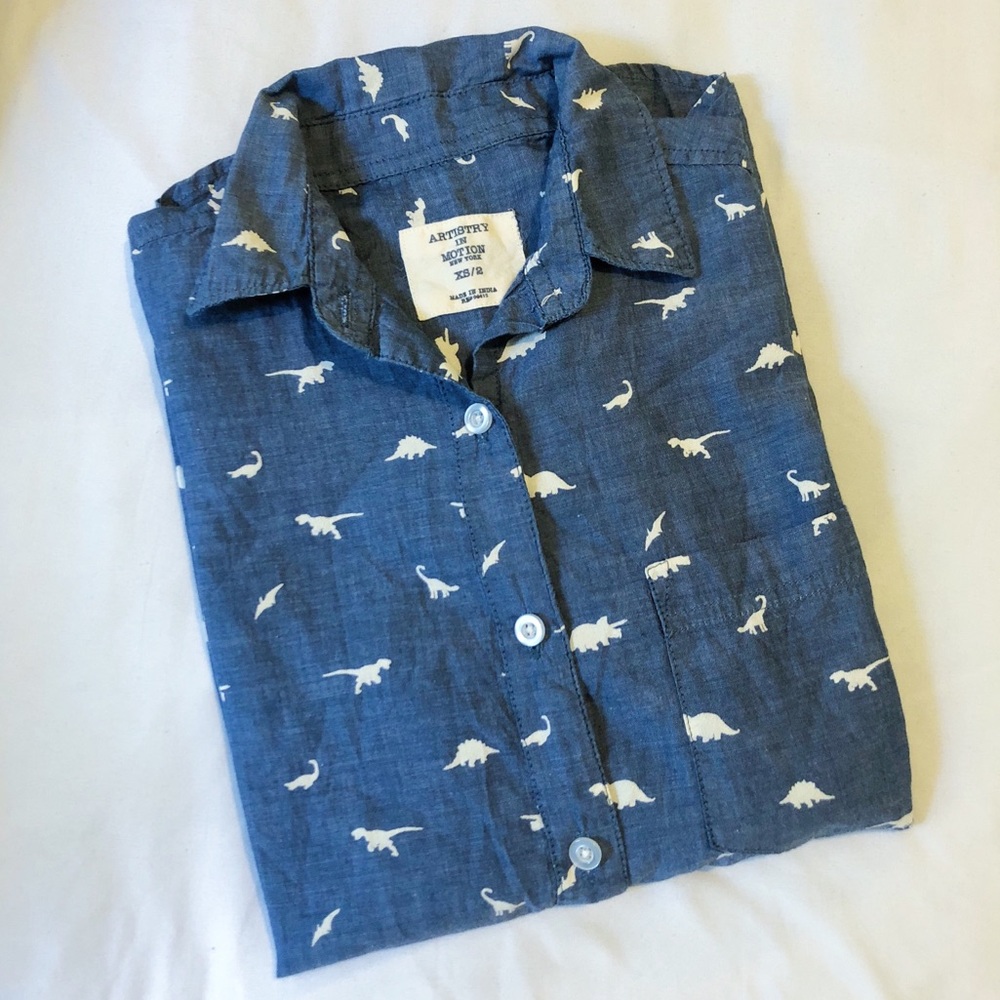 Artistry in Motion Chambray Long Sleeve Shirt- XS